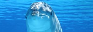 脱毛ご予約はこちら