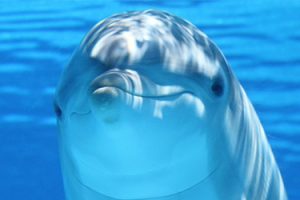脱毛ご予約はこちらsp